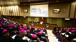 Una riunione del Sinodo - Daniel Ibanez CNA