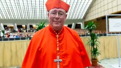 Il Cardinale Hollerich, Relatore Generale della XVI Assemblea Generale Ordinaria del Sinodo - CNA