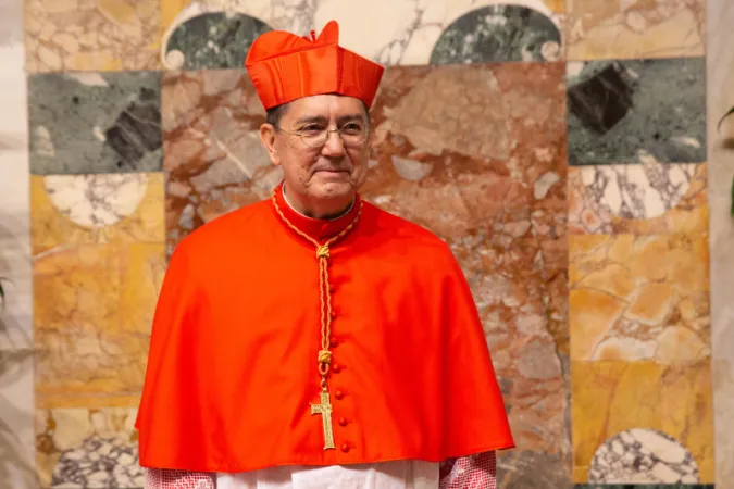 Il Cardinale Ayuso |  | Daniel Ibanez CNA