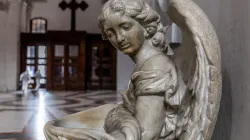 Daniel Ibanez / ACI Group