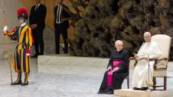 Papa Leone XIV all'Udienza Generale / Credit Daniel Ibanez/ EWTN AciGroup