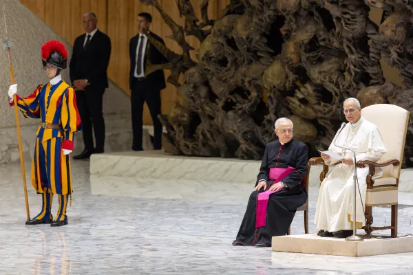 Papa Leone XIV all'Udienza Generale / Credit Daniel Ibanez/ EWTN AciGroup