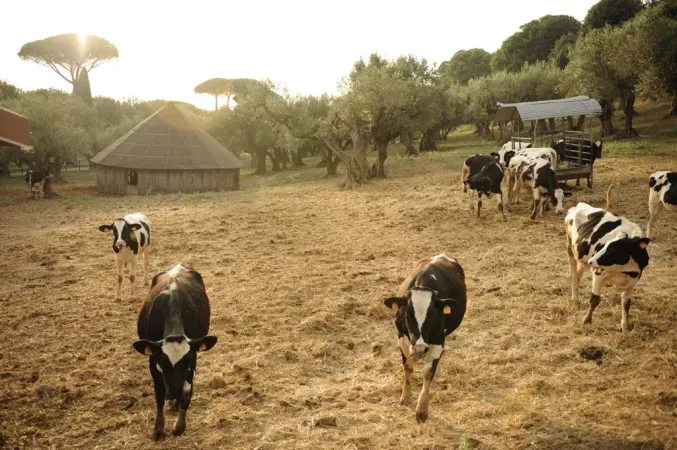 I prodotti delle Fattorie |  | pd