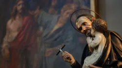 Famiglia Vincenziana