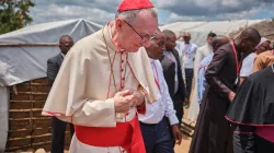 Il cardinale Parolin nella diocesi di Pemba, in Mozambico / Diego Menjíbar/ACN