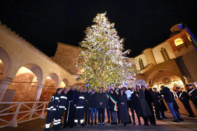 Albero ad Assisi |  | Ufficio stampa Basilica Assisi