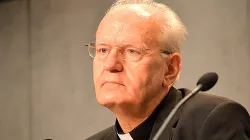 Roma, Sala Stampa Vaticana, 26 Giugno 2014 - il Cardinal Petr Erdo, Arcivescovo di Esztergom - Budapest / Daniel Ibañez