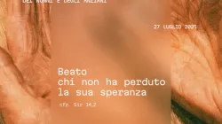 Dicastero per i laici