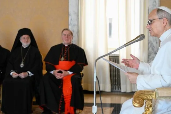 L'udienza di stamane / Credit Vatican Media