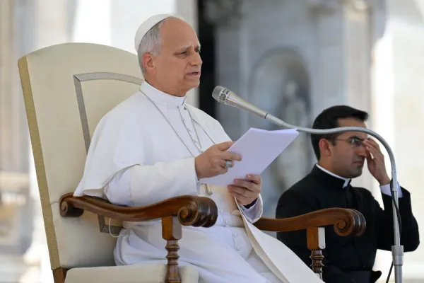 L'udienza di stamane / Credit Vatican Media