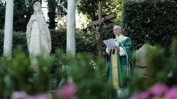 Papa Leone XIV / Credit Vatican Media