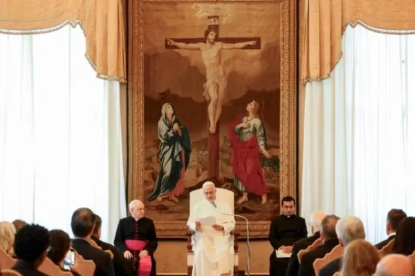 L'udienza di stamane / Credit Vatican Media