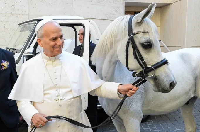 Papa Leone XVI e Proton |  | Vatican Media