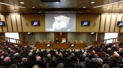 Papa Leone XIV nell'aula del Sinodo / Credit Vatican Media
