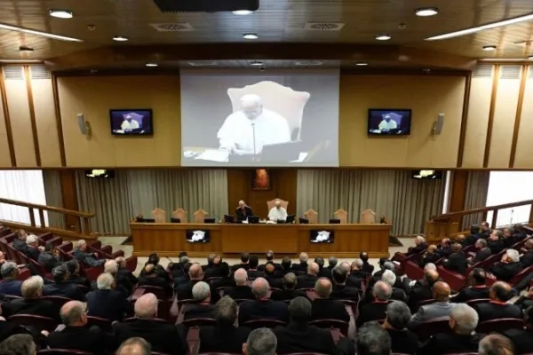 Papa Leone XIV nell'aula del Sinodo / Credit Vatican Media