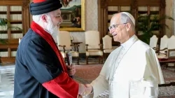 L'udienza di stamane / Credit Vatican Media