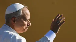 Papa Leone XIV / Credit Vatican Media