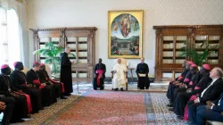 L'udienza di stamane / Credit Vatican Media