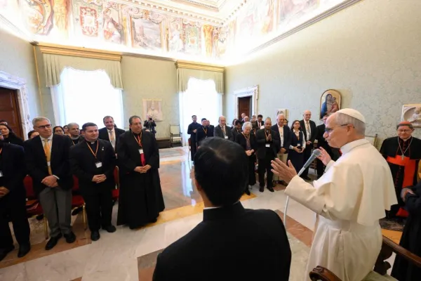 L'udienza di stamane / Credit Vatican Media