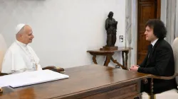 L'udienza di stamane / Credit Vatican Media