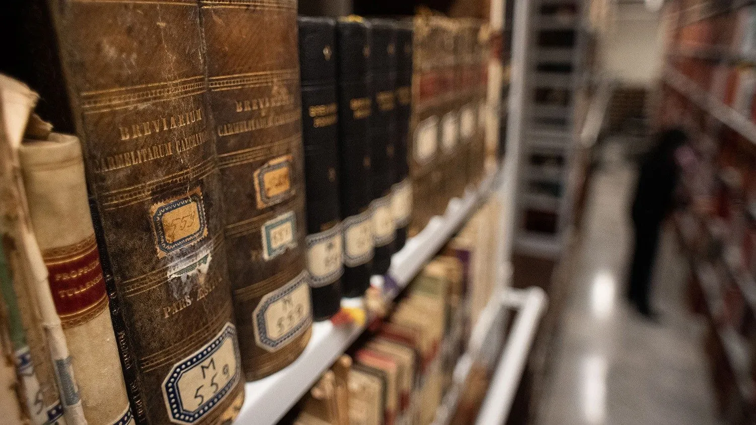 L'Archivio del Dicastero