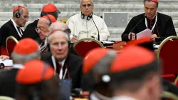 Il papa al concistoro dei cardinali / Credit Vatican Media