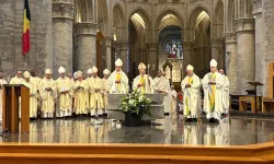 Il cardinale Parolin celebra Messa nel cardinale di Bruxelles, per celebrare gli 800 anni della cattedrale / Vatican News
