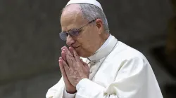 Papa Leone XIV (immagine di repertorio) / Credit Vatican Media