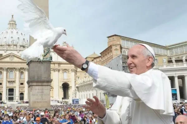 Papa Francesco con una colomba / Vatican News 