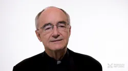 Padre Michael Czerny, sottosegretario della sezione Migranti e Rifugiati / Migrants & Refugees Section 