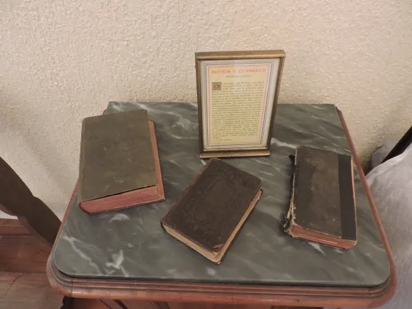 I libri di San Giovanni Bosco | | Marco Mancini/ Aci Stampa