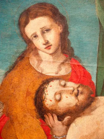 Immagini del MARec | | MARec