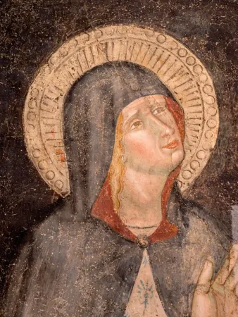 Immagini del MARec | | MARec