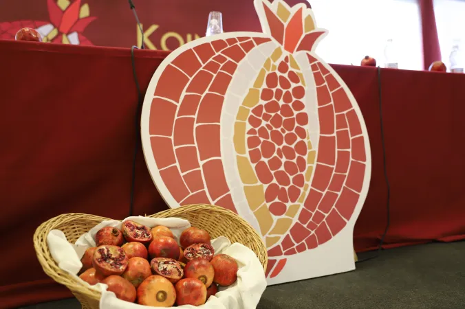 Il Melograno di san Gaspare del Bufalo |  | pd