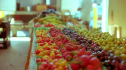 Wikicommons Pubblico Dominio