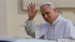 Papa Leone XIV all'udienza di oggi / Credit Daniel Ibanez/ EWTN ACI Group