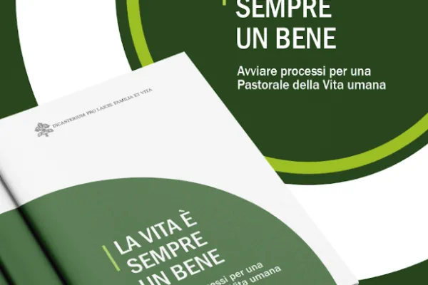 Dicastero Laici Famiglia Vita