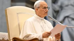 Papa Leone XIV (immagine di repertorio) / Credit Vatican Media