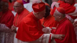 I Cardinali di Santa Romana Chiesa - Daniel Ibanez CNA