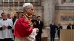 Papa leone XIV / Credit Vatican Media