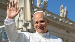 Papa Leone XIV (immagine di repertorio) / Credit Vatican Media