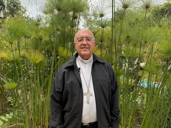 Il cardinale Pedro Barreto, presidente della CEAMA, |  | CEAMA