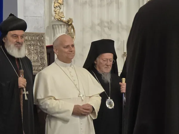 Papa Leone in Turchia |  | AIGAV