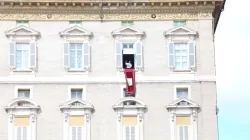 Papa Francesco - CNA