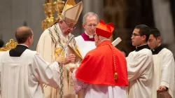 Papa Francesco durante il concistoro del 2018 - Daniel Ibanez CNA