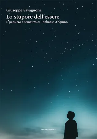 La copertina del volume |  | Casa editrice Marcianum