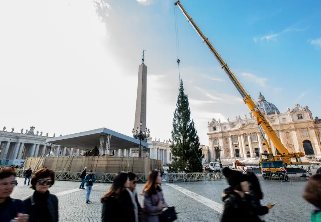 L'arrivo dell'albero da Cansiglio | | Daniel Ibanez / Aci Group