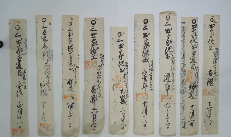 Alcuni dei testi del Fondo Marega |  | Bav