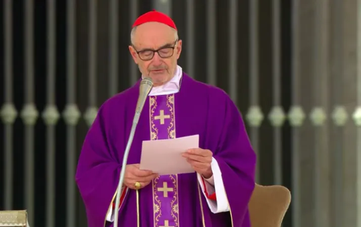 Il Cardinale Czerny |  | Vatican Media