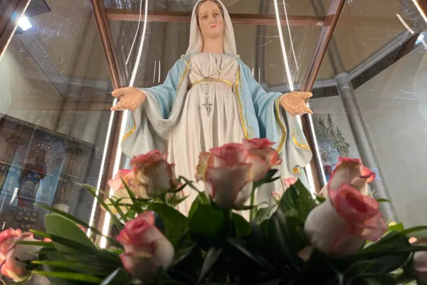 Missionari Vincenziani